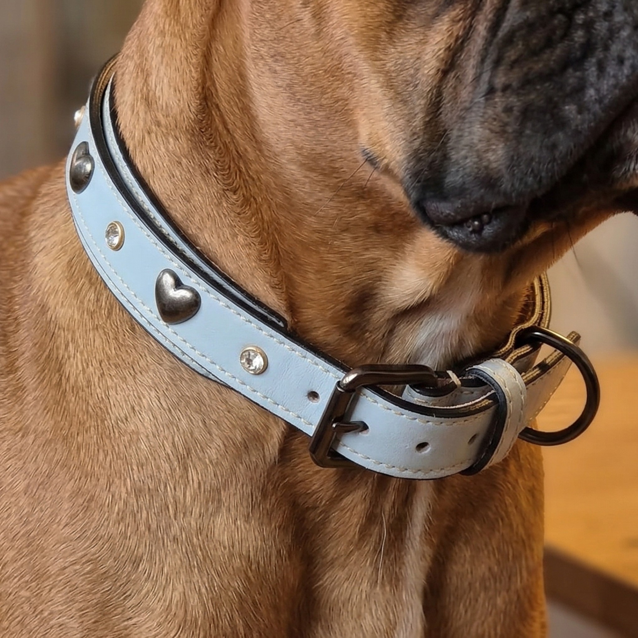 Set Collare con Cristalli e Guinzaglio in Pelle per Cani